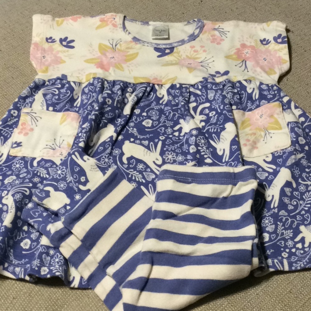 Tesa Babe bunny floral tunic legging set 18-24mon